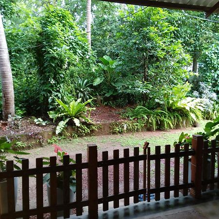 Guruwaththa Eco Lodge Hikkaduwa Exterior foto
