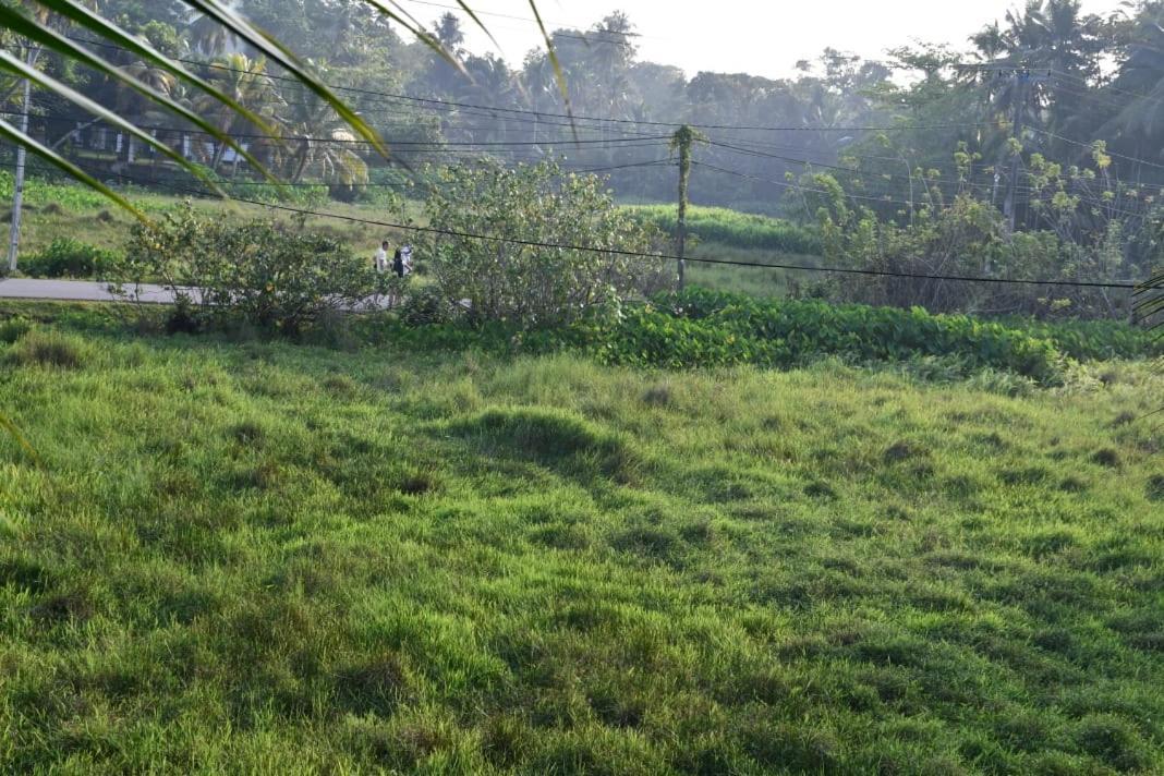 Guruwaththa Eco Lodge Hikkaduwa Exterior foto