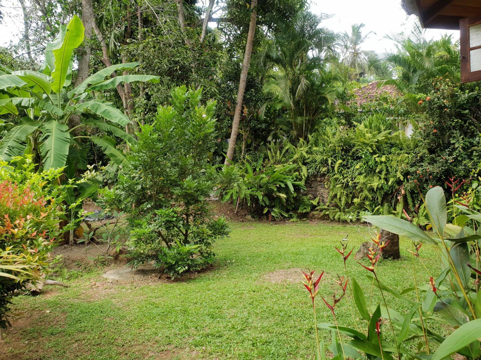Guruwaththa Eco Lodge Hikkaduwa Exterior foto