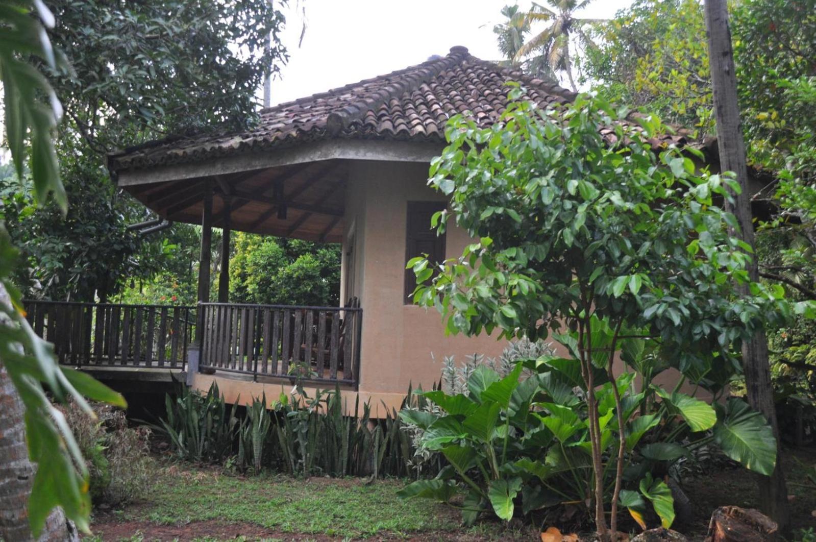 Guruwaththa Eco Lodge Hikkaduwa Quarto foto